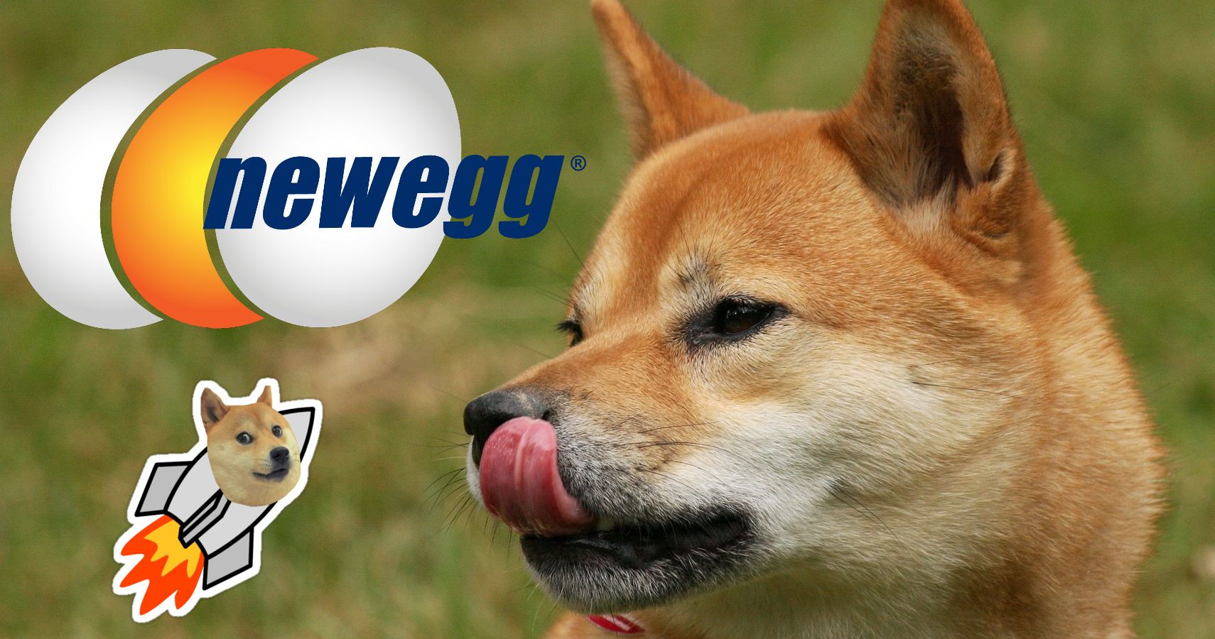 PC Retailer Newegg Might Start Accepting Dogecoin to celebrate doge day