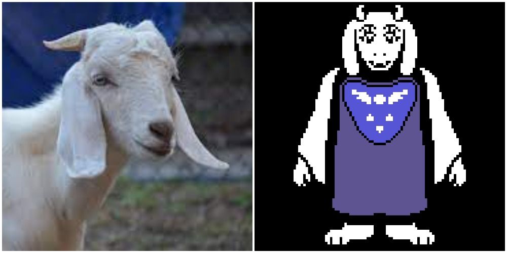 Toriel VS Nubian Goat