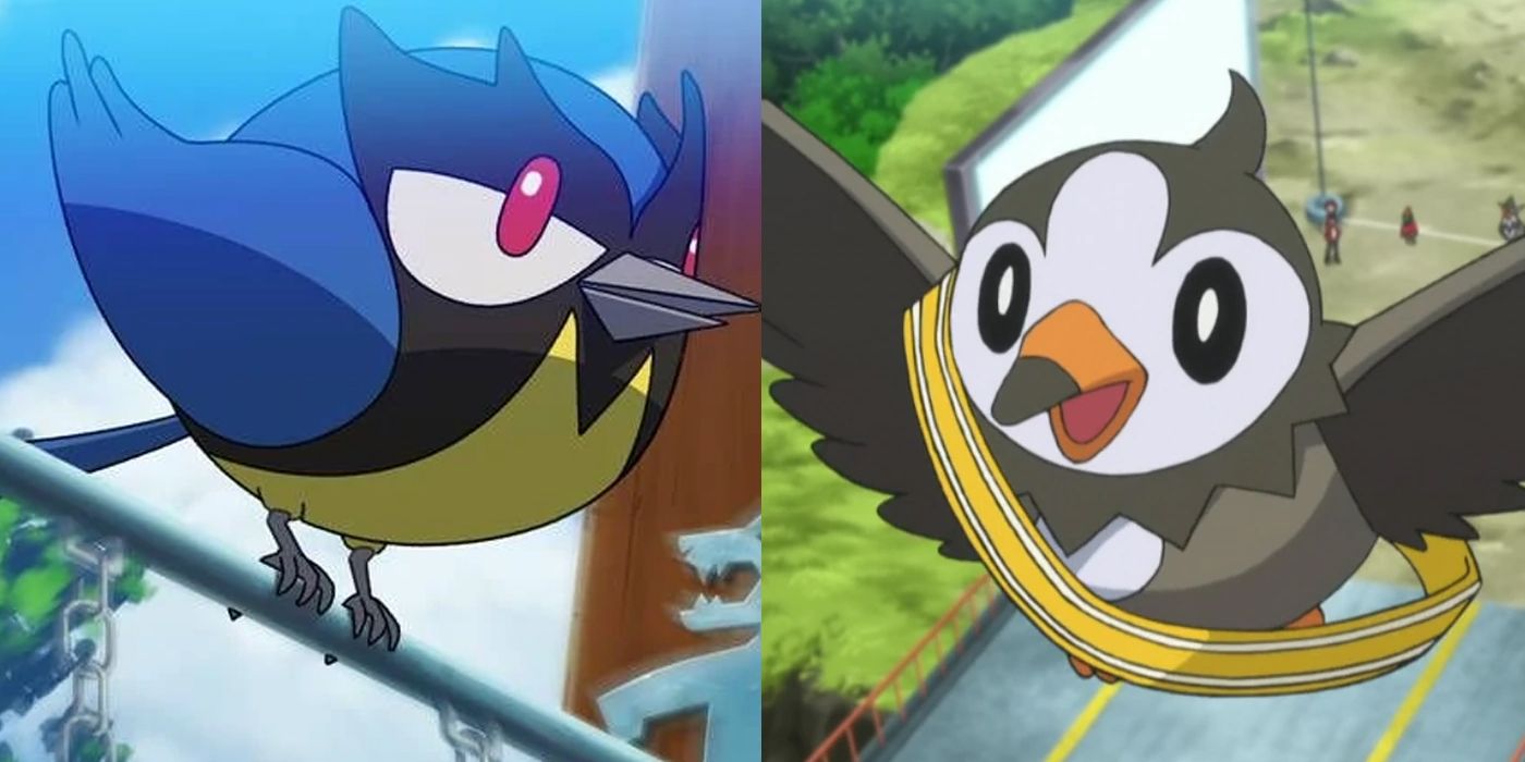 Starly Rokkidee