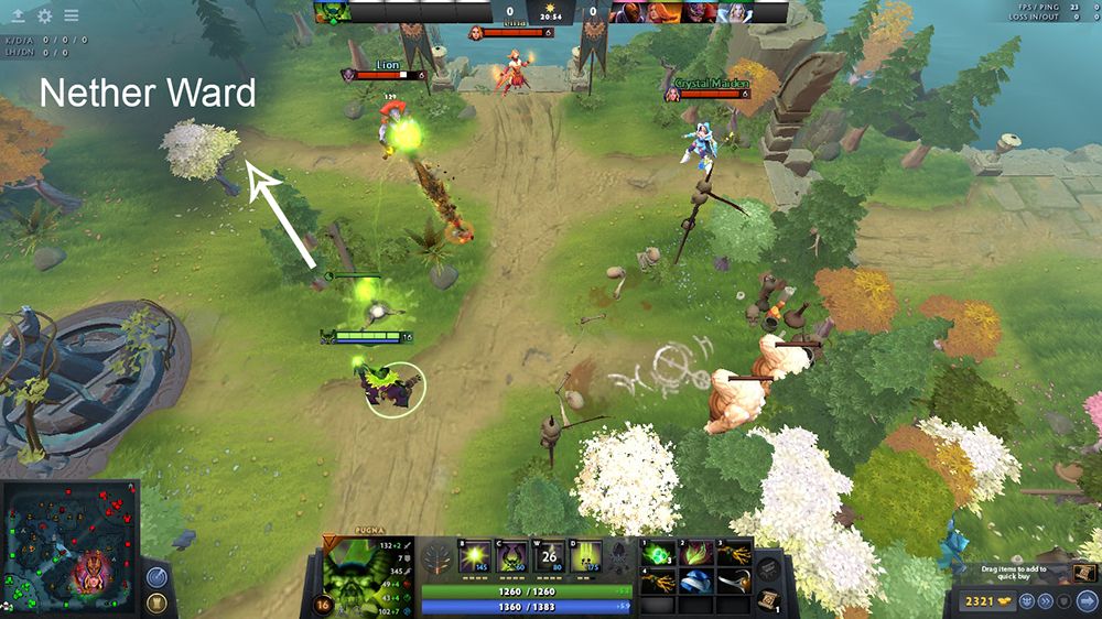 Pugna Nether Ward