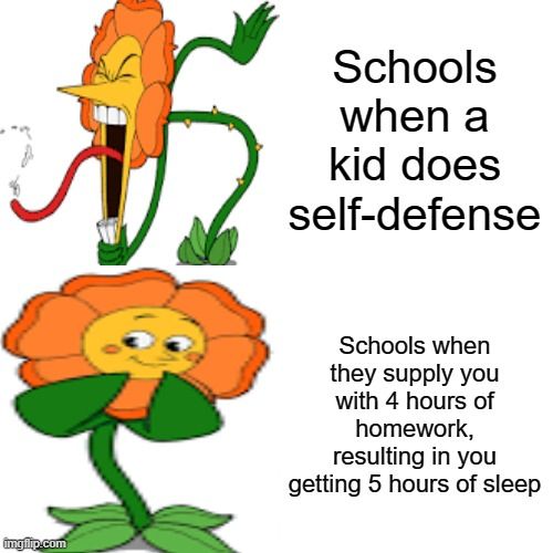 School cagney carnation meme