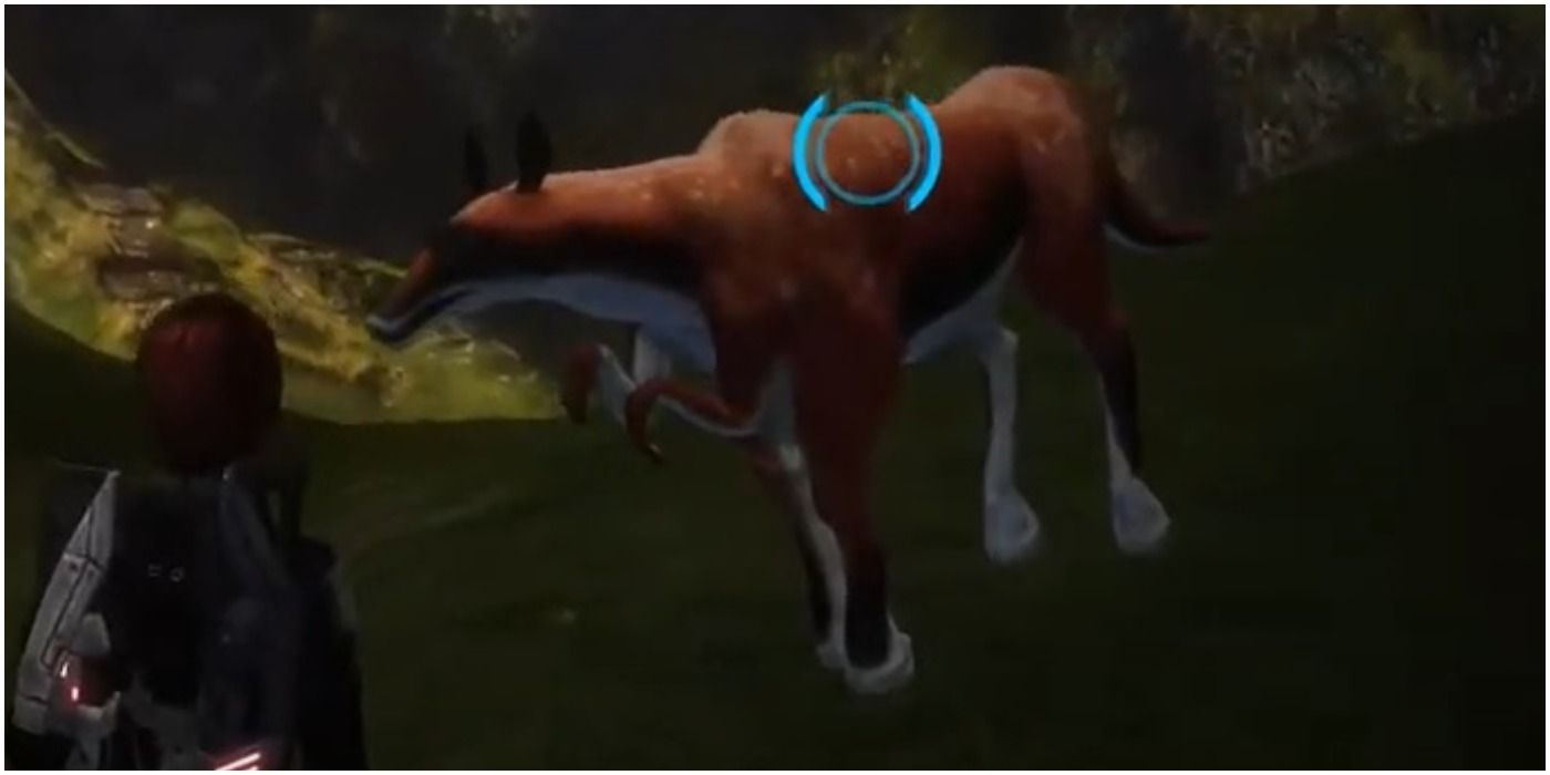 Mass Effect - Shifty looking cow