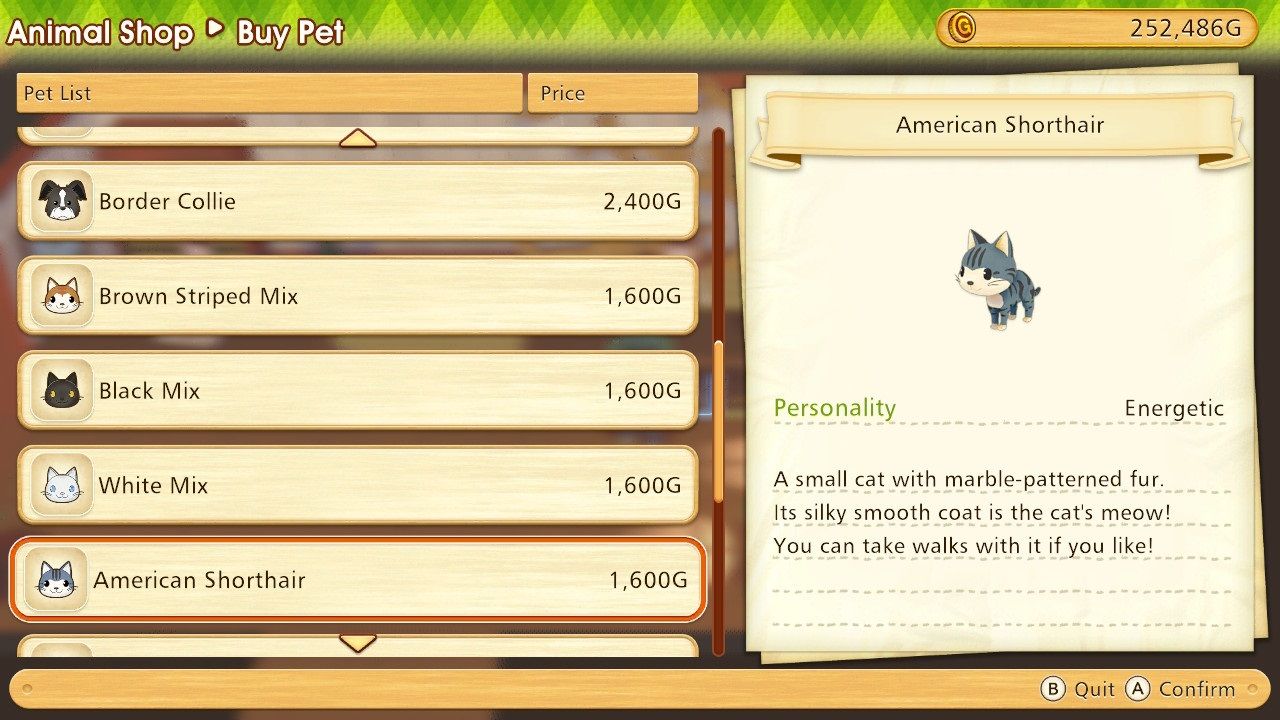 Story of Seasons Pioneers of Olive Town American Shorthair