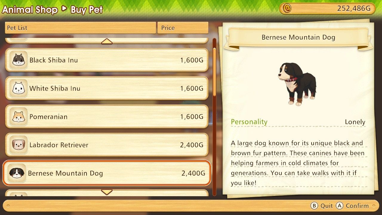 Story of Seasons Pioneers of Olive Town Bernese Mountain Dog