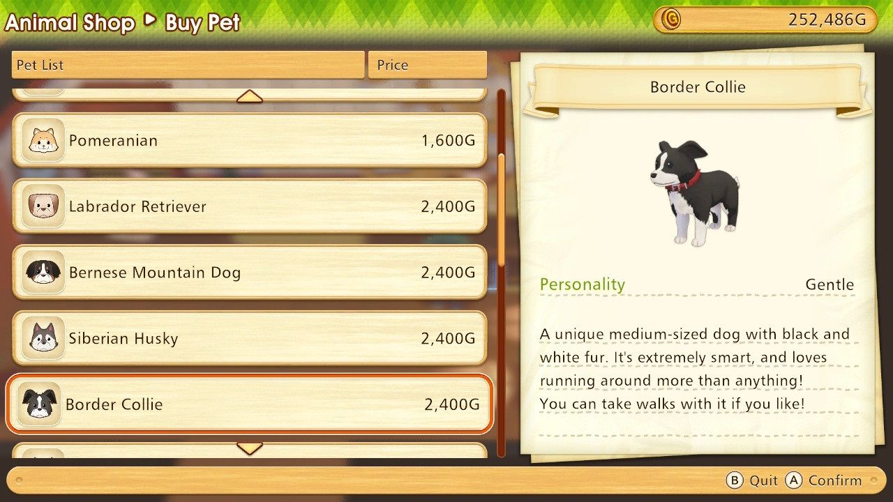Story of Seasons Pioneers of Olive Town Border Collie