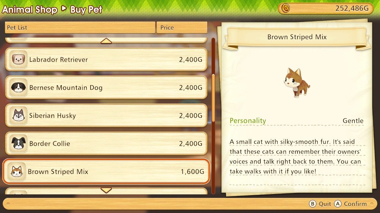 Story of Seasons Pioneers of Olive Town Brown Striped Mix