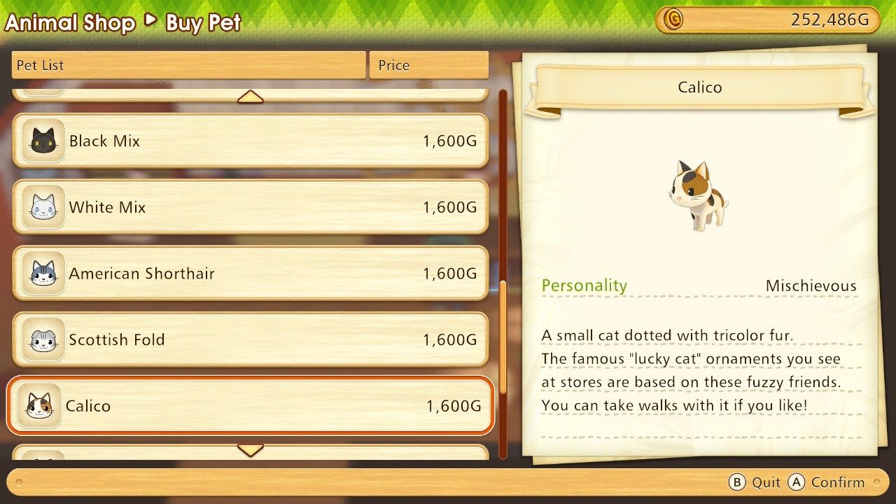 Story of Seasons Pioneers of Olive Town Calico