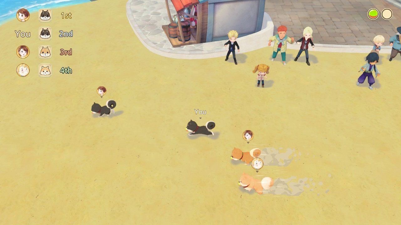 Story of Seasons Pioneers of Olive Town Pet Derby