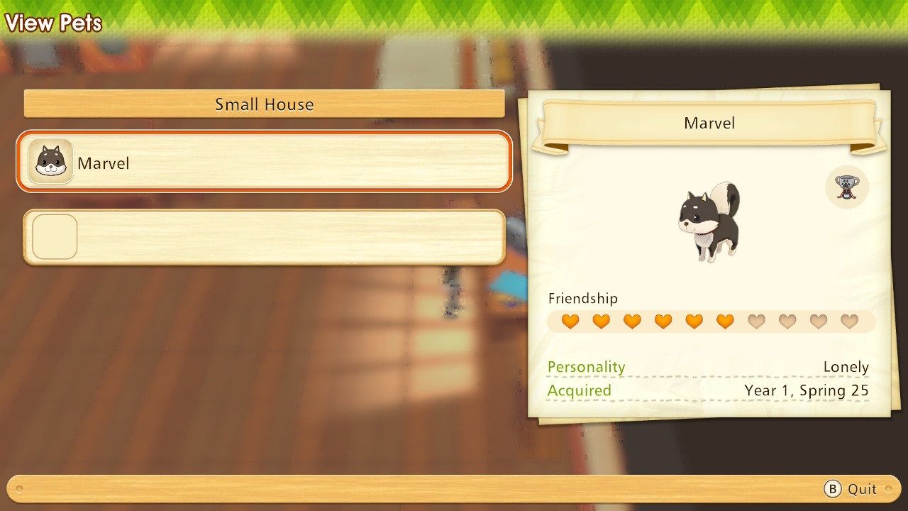 Story of Seasons Pioneers of Olive Town Shrine viewing friendship with pets