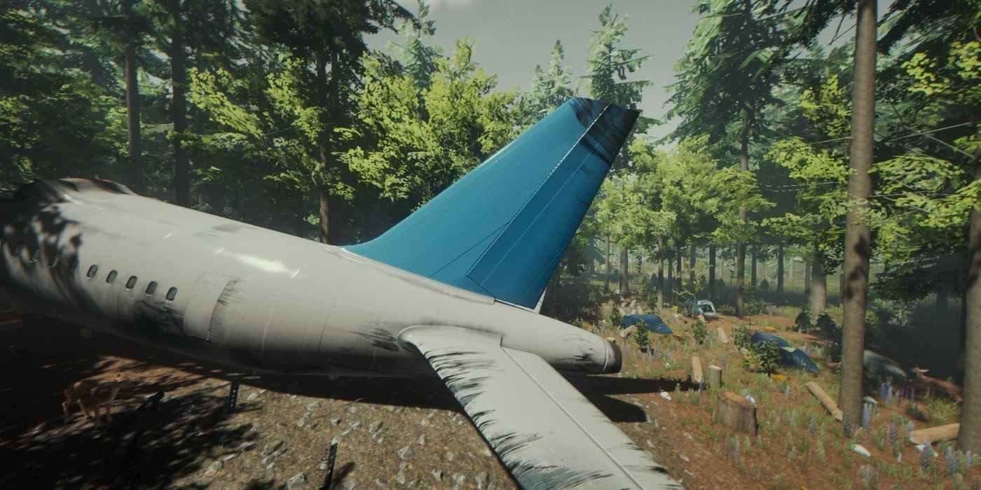 The Forest: The crashed plane