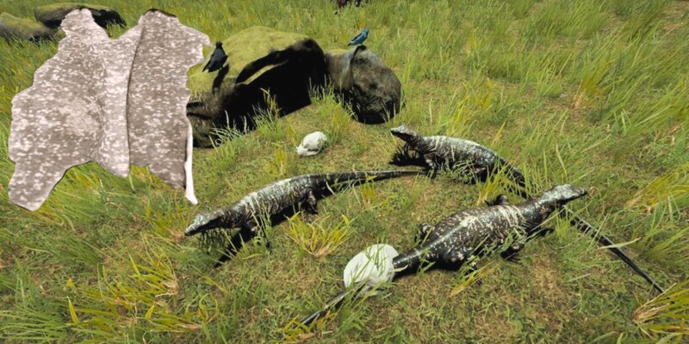 The Forest: Three lizards - A piece of Lizard Skin Armor