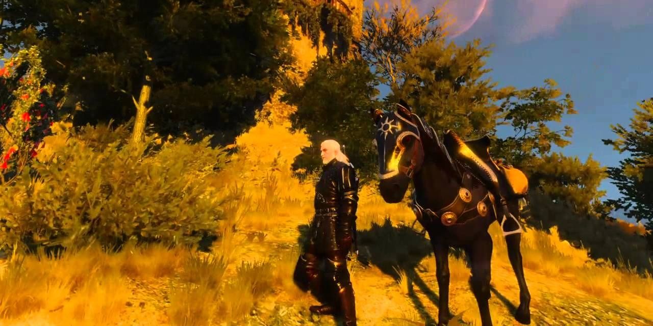 The Witcher 3 New Roach from Emhyr var Emreis