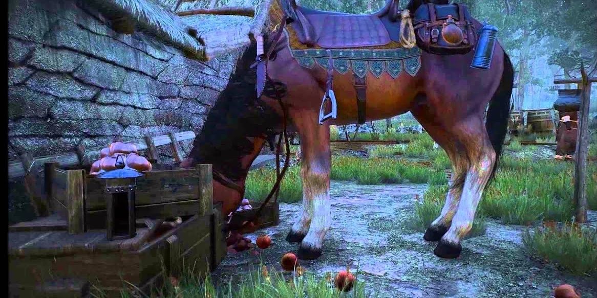 The Witcher 3 Roach is eating apples