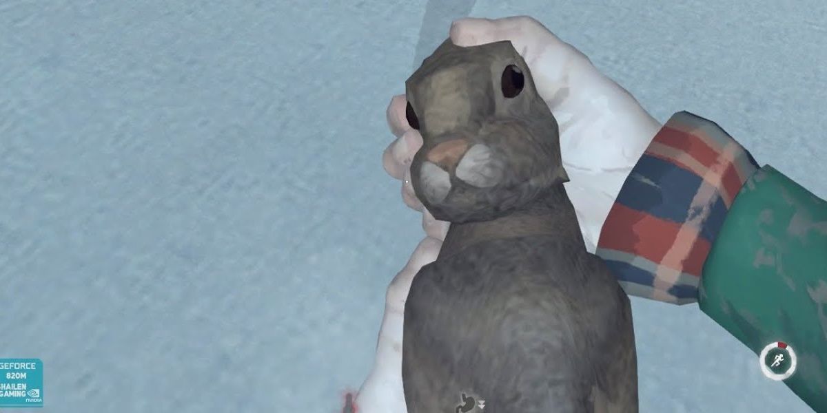 Rabbit in The Long Dark