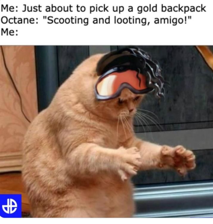 Scooting And Looting Apex Legends Octane Meme
