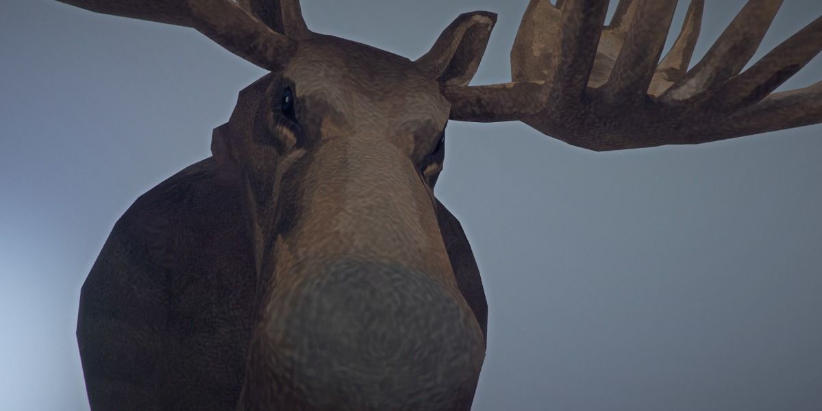 Moose in The Long Dark
