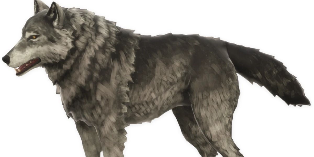 Timberwolf in The long Dark