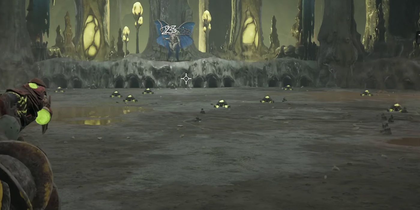 rfta bugs