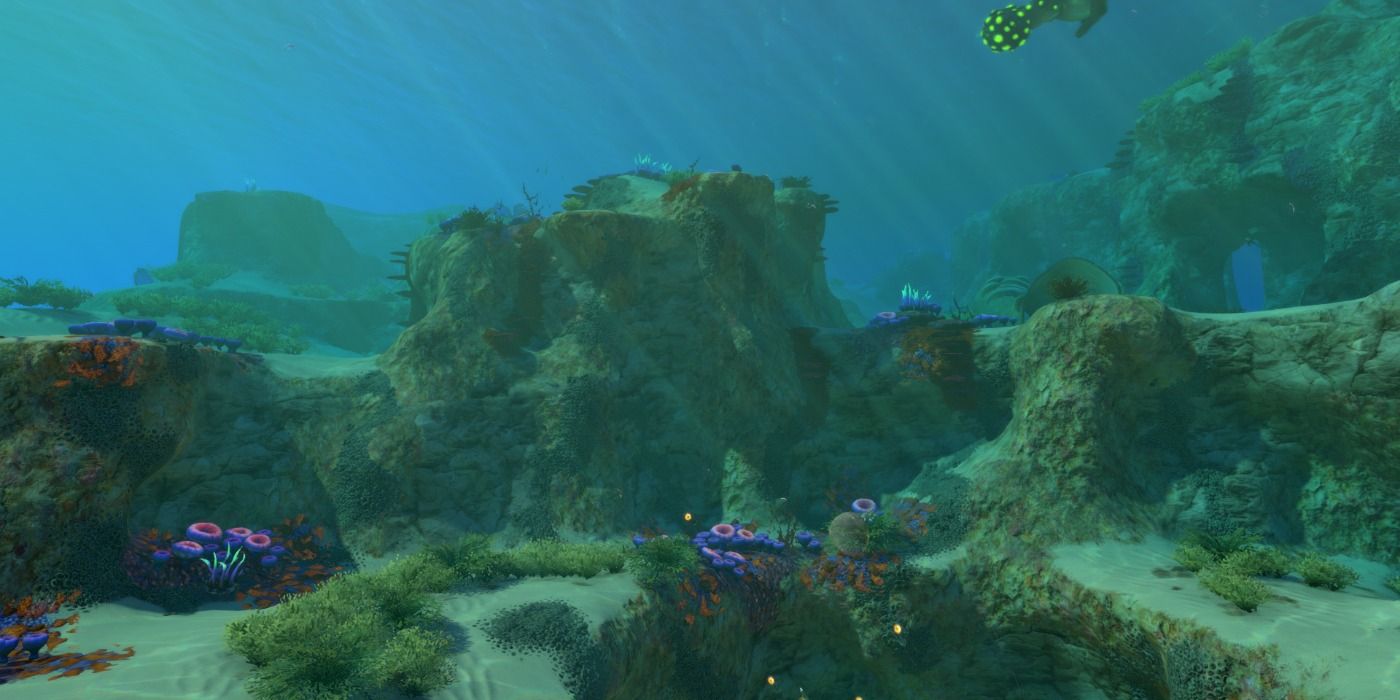 Safe Shallows in Subnautica