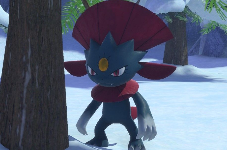 new pokemon snap best map