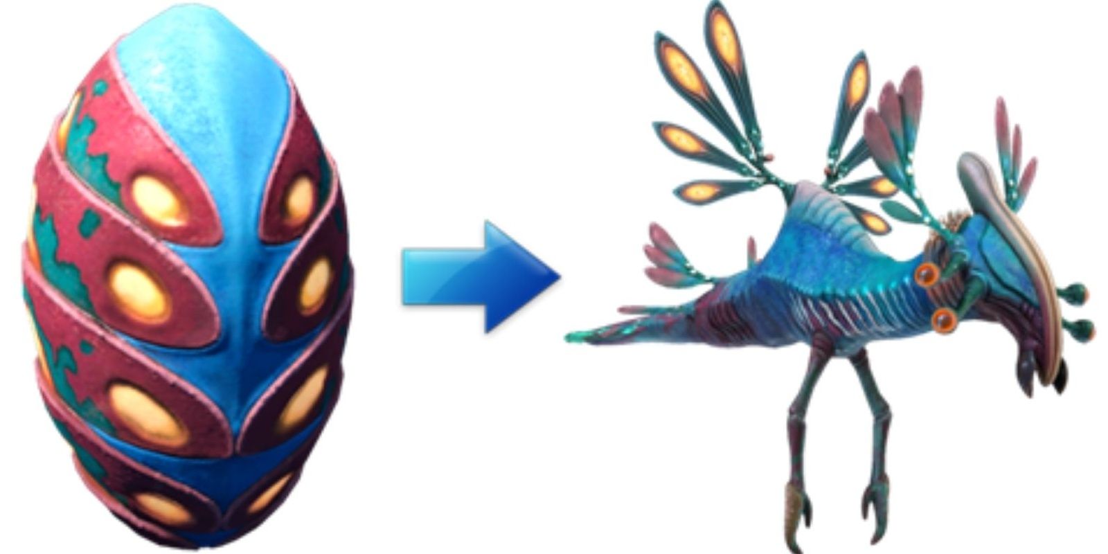 A Lily Paddler and its egg