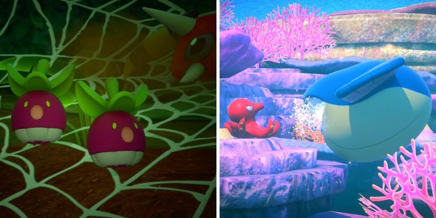 Bounsweet, An Octillery and Wailmer New Pokemon Snap
