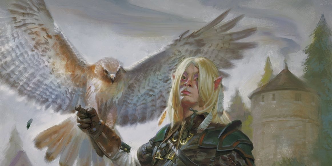 D&amp;D Ranger with Hawk Pet
