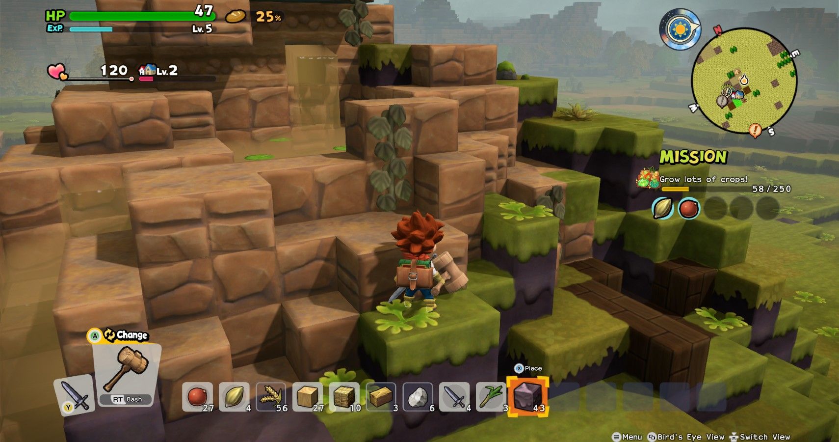 Dragon Quest Builders 2 Vines