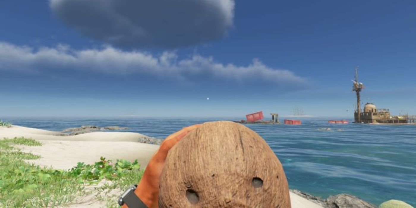 a coconut in stranded deep