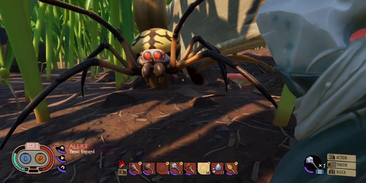 Grounded Spider