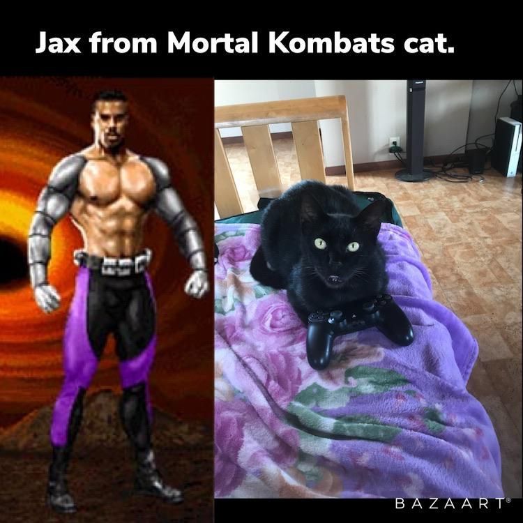 Metalic arms cat