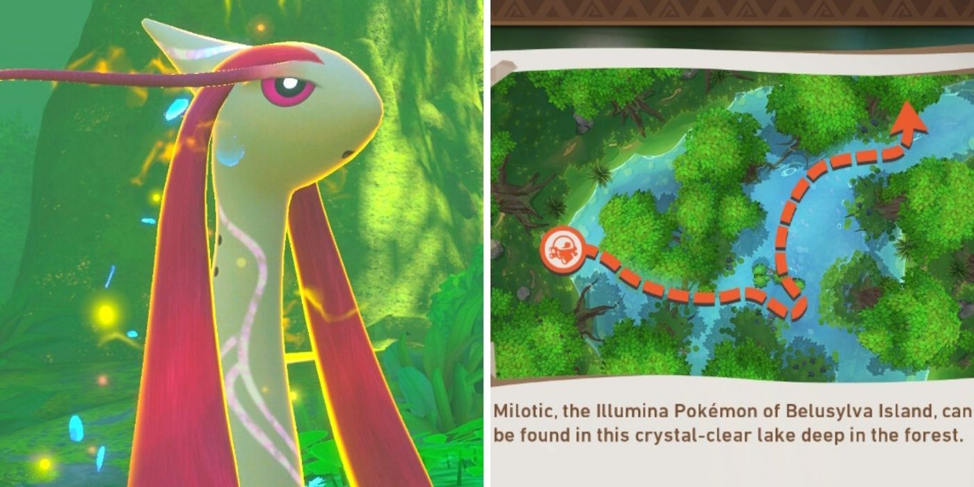 New Pokemon Snap Elsewhere Forest Illumina Spot Milotic and Map