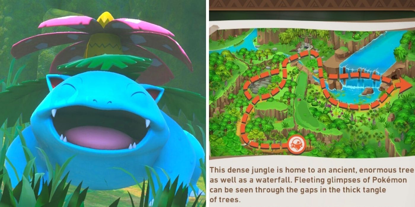 New Pokemon Snap Founja Jungle (Day), Venasaur and Map