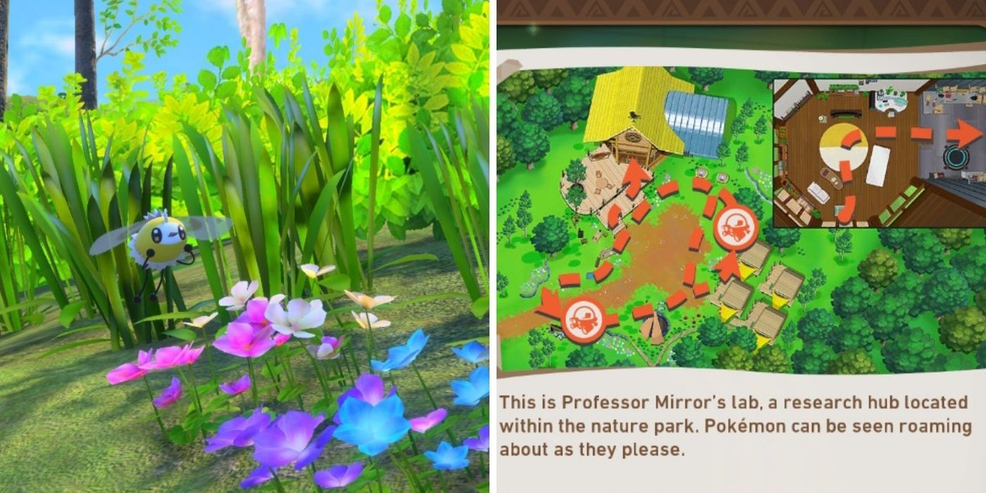 New Pokemon Snap Research Camp Cutiefly and Map