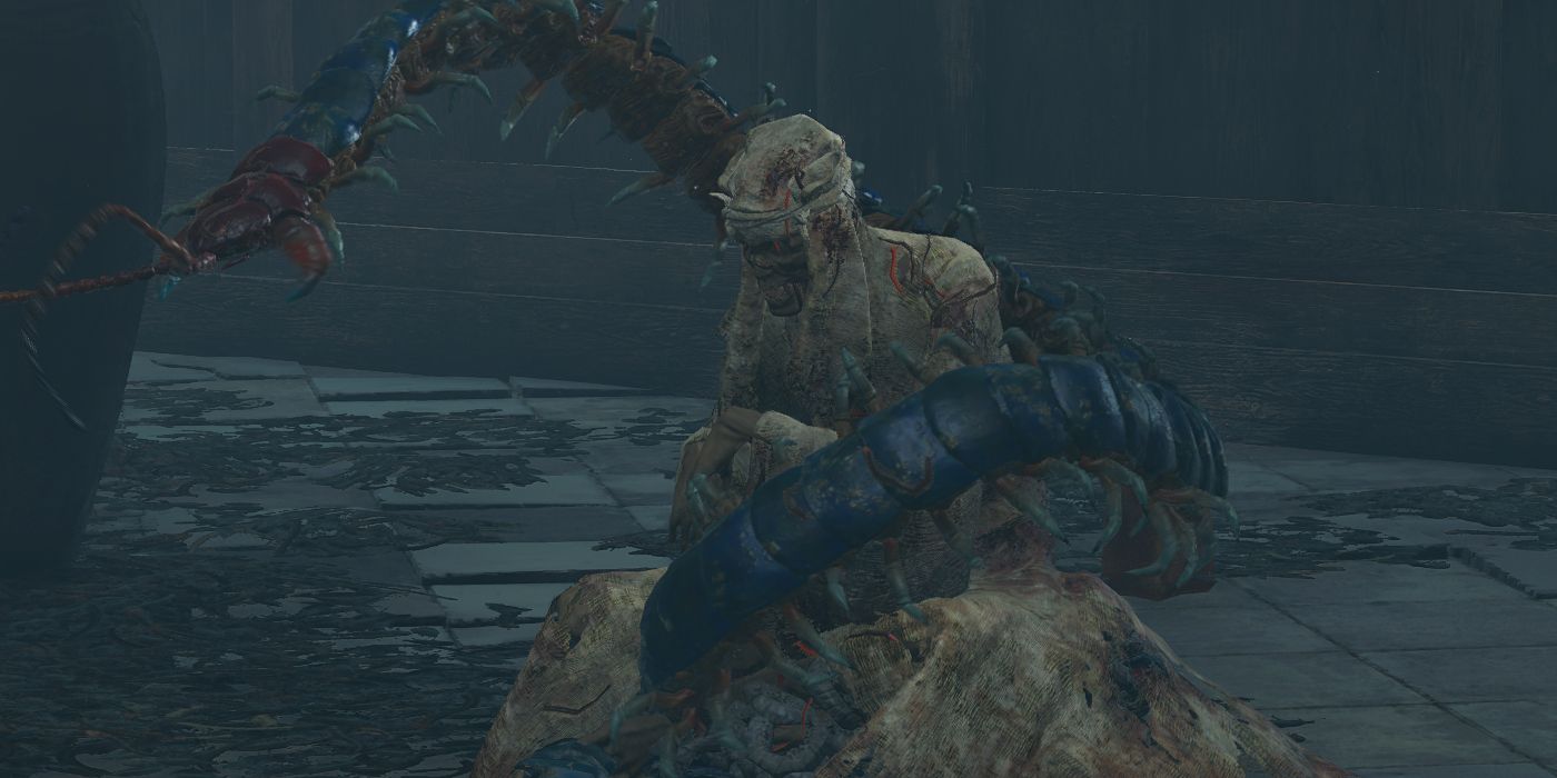 Sekiro Shadows Die Twice Enemies Immortal Monk