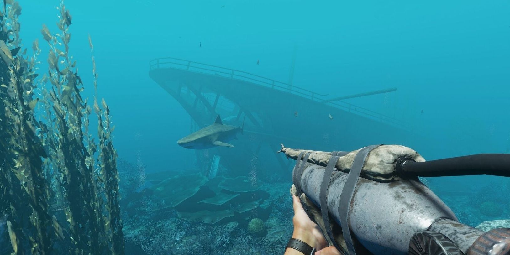 Player pointing harpoon at a shark, near a wreck
