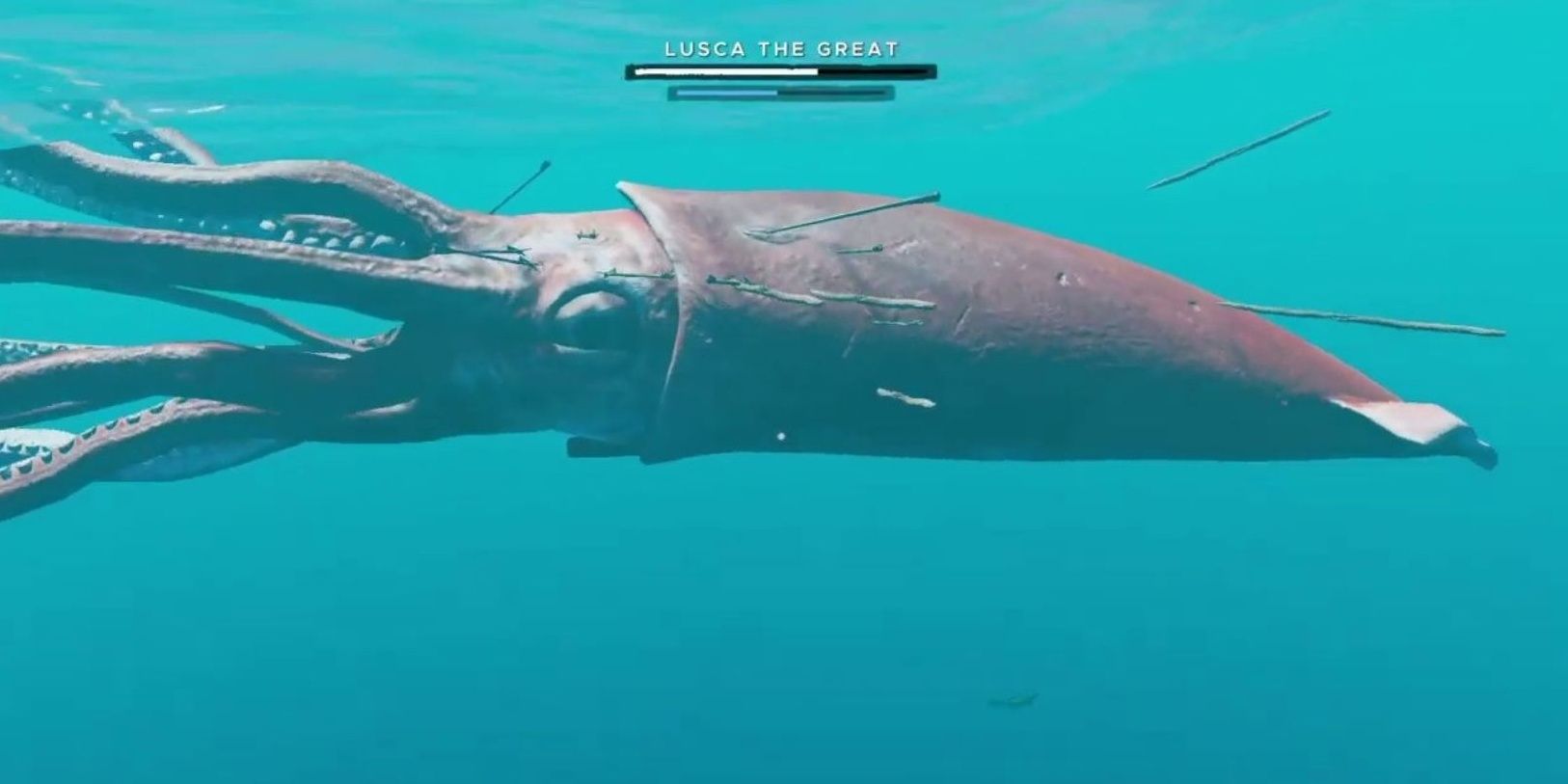 Lusca the Great giant squid with harpoons sticking out of it