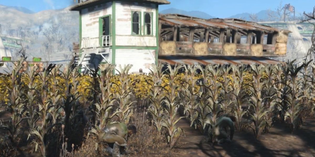corn farm in fallout 4