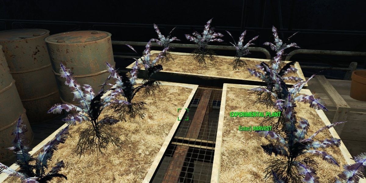 experimental plant, fallout 4