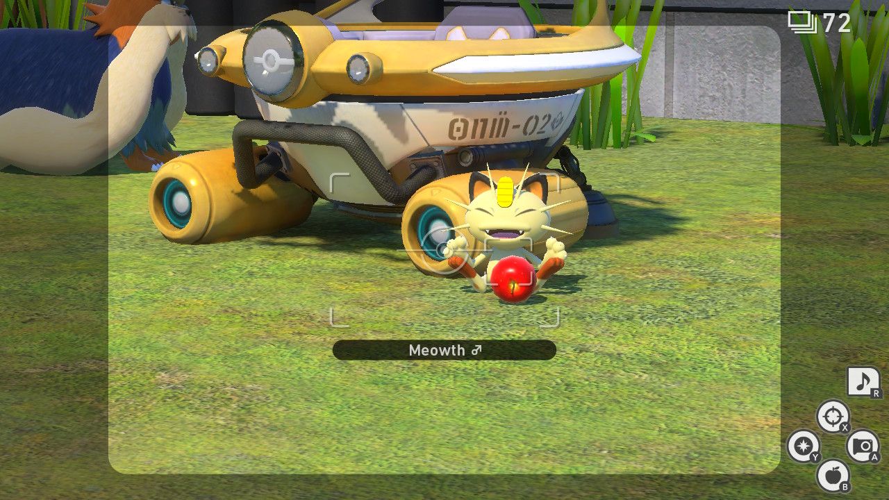 new pokemon snap at home in the dark rattata meowth (2)