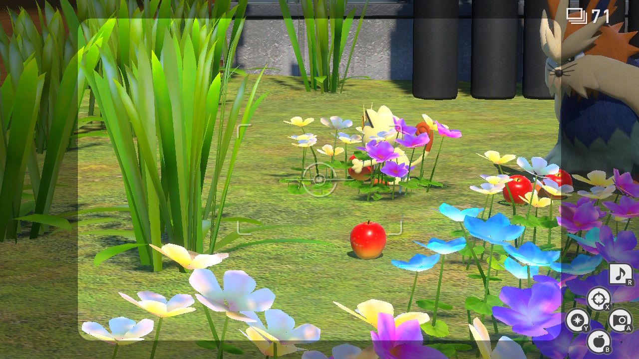 new pokemon snap at home in the dark rattata meowth (2)