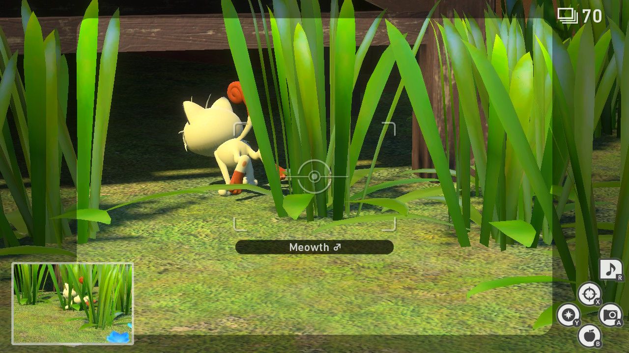new pokemon snap at home in the dark rattata meowth (2)