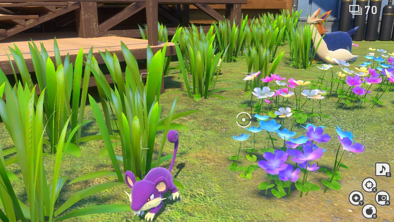 new pokemon snap at home in the dark rattata meowth (2)