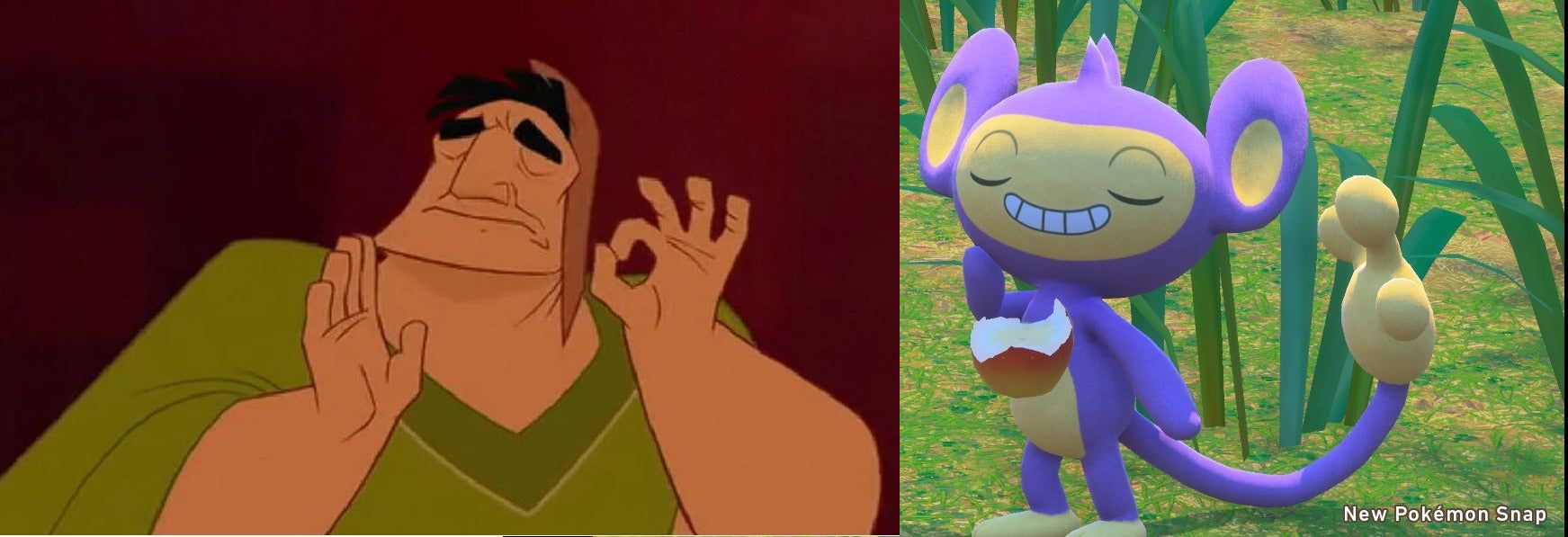 pokemon snap pacha aipom meme