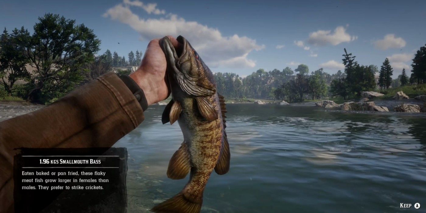red dead online catching a smallmouth bass