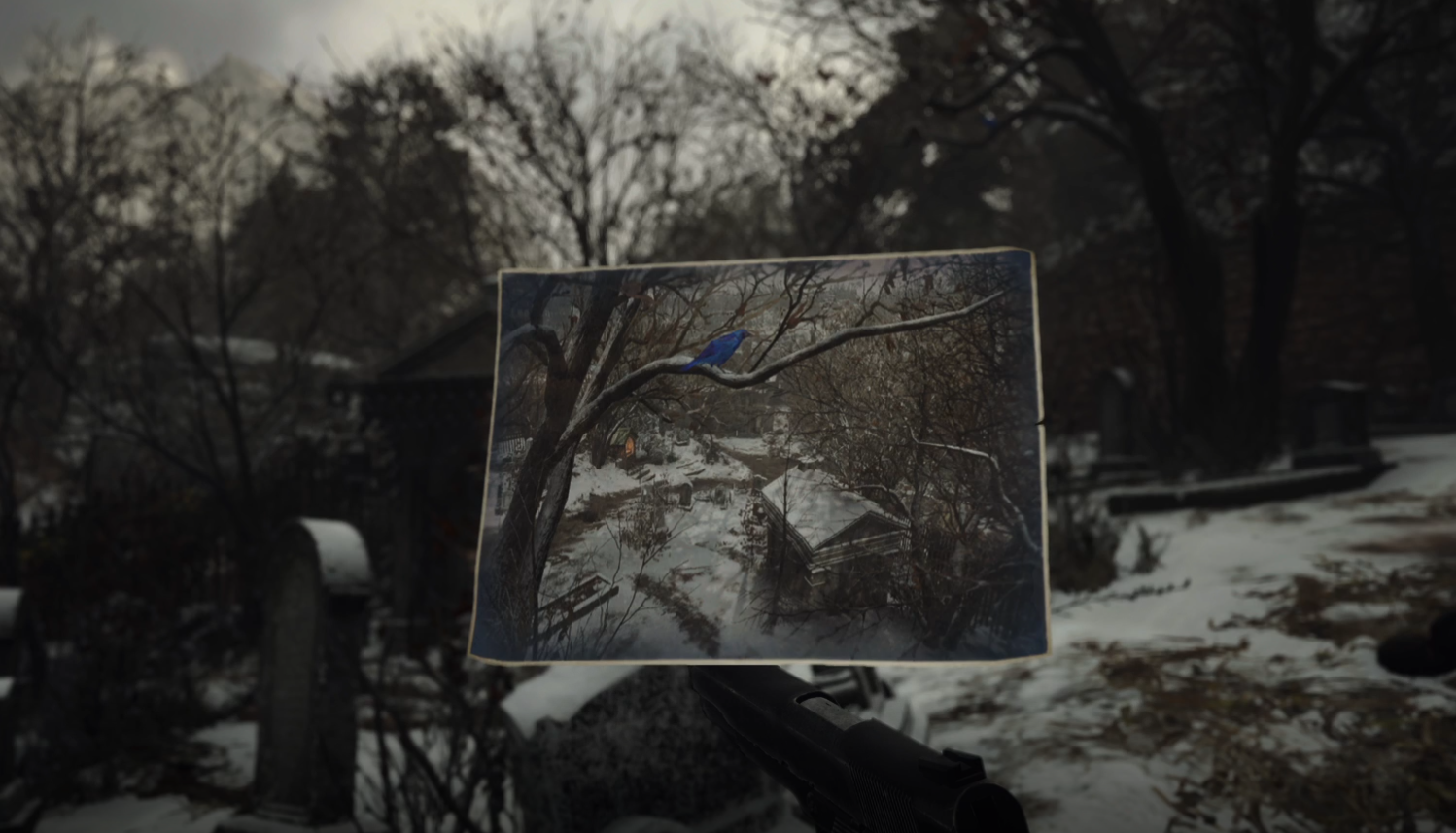 Strange Bird Location RE8