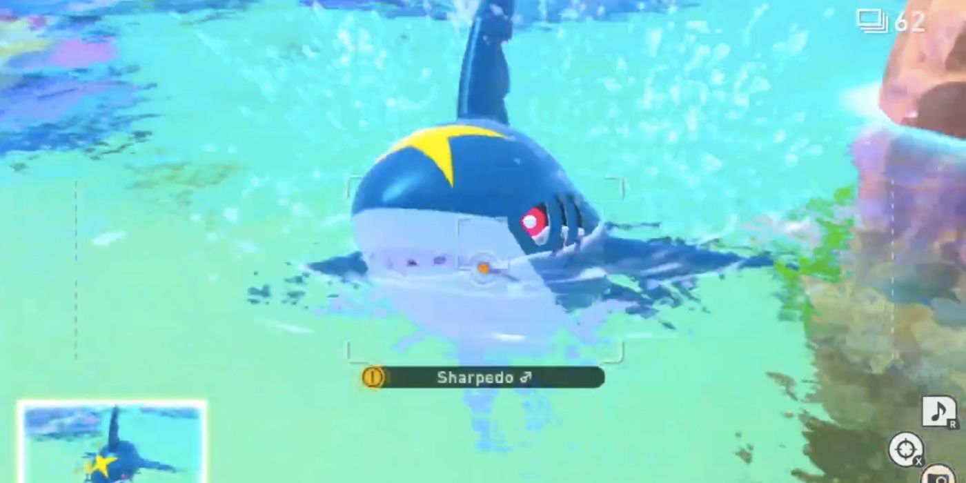 sharpedo half in water