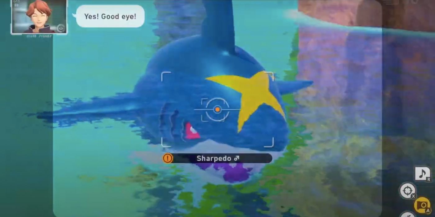 sharpedo under the water