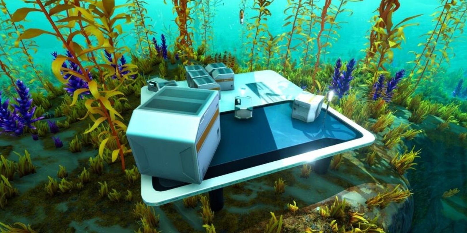 An Alterra tech site in an Arctic Kelp Forest