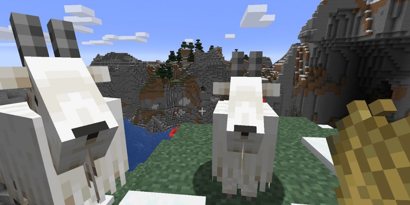 Minecraft player holding wheat in front of goats
